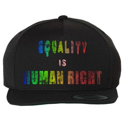 Equality Is Hu Right Gift Wool Snapback Cap