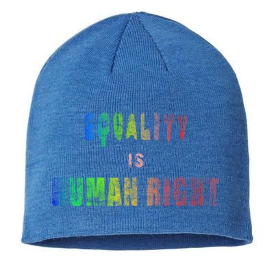 Equality Is Hu Right Gift Sustainable Beanie