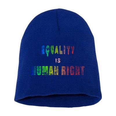 Equality Is Hu Right Gift Short Acrylic Beanie