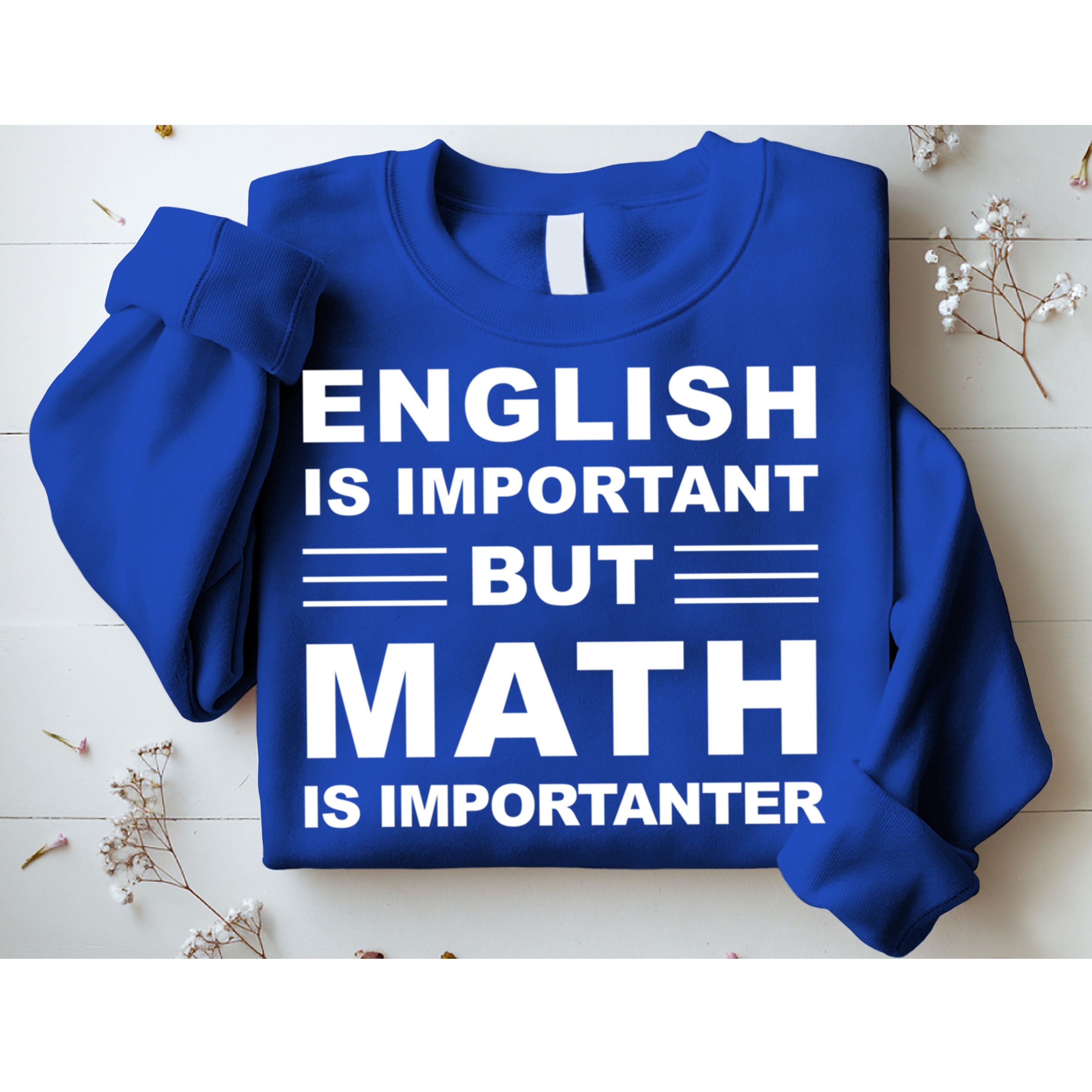 English Is Important But Math Is Importanter Funny School Gift Sweatshirt