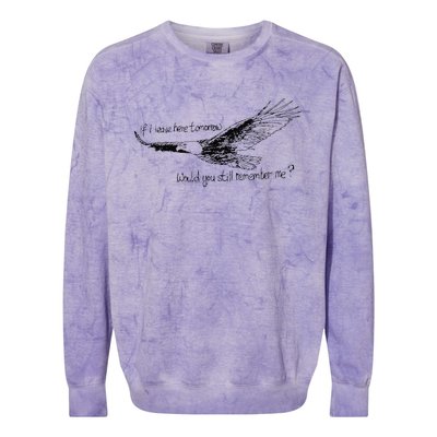 Eagle If I Leave Here Tomorrow Would You Still Remember Me Colorblast Crewneck Sweatshirt