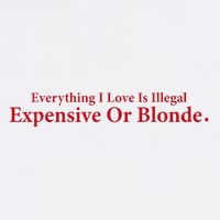 Everything I Love Is Illegal Expensive Or Blonde I Love Joke Womens Tank Top