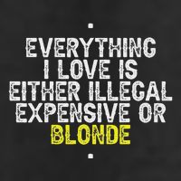 Everything I Love Is Either Illegal Expensive Or Blonde Adult Drive Performance Visor