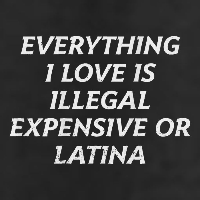 Everything I Love Is Illegal Expensive Or Latina 11oz C Handle Ceramic Mug