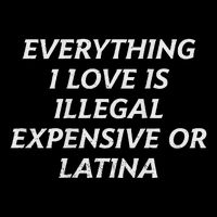 Everything I Love Is Illegal Expensive Or Latina Wool Snapback Cap