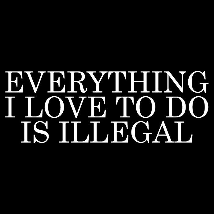 Everything I Love To Do Is Illegal Poster