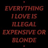 Everything I Love Is Illegal Expensive Or Blonde Tall Hoodie