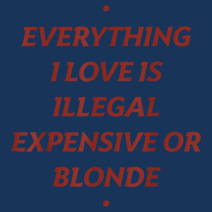 Everything I Love Is Illegal Expensive Or Blonde Infant Baby Jersey Bodysuit