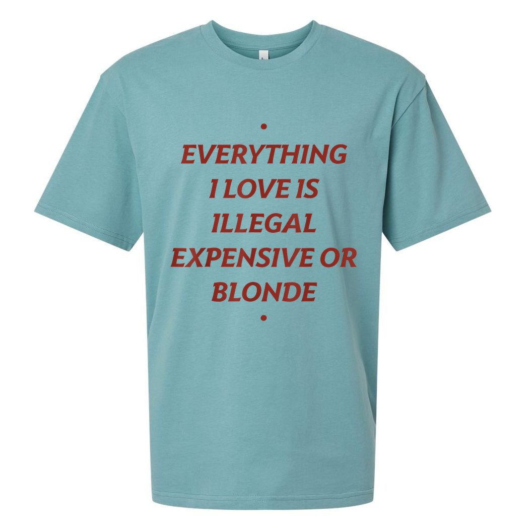 Everything I Love Is Illegal Expensive Or Blonde Sueded Cloud Jersey T-Shirt