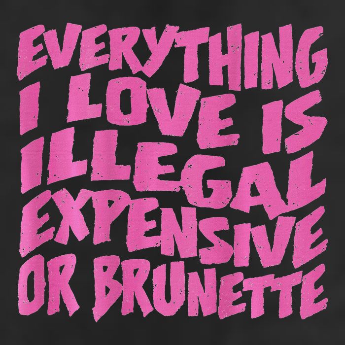 Everything I Love Is Illegal Expensive Or Brunette Adult Drive Performance Visor