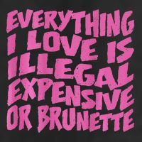 Everything I Love Is Illegal Expensive Or Brunette Hat
