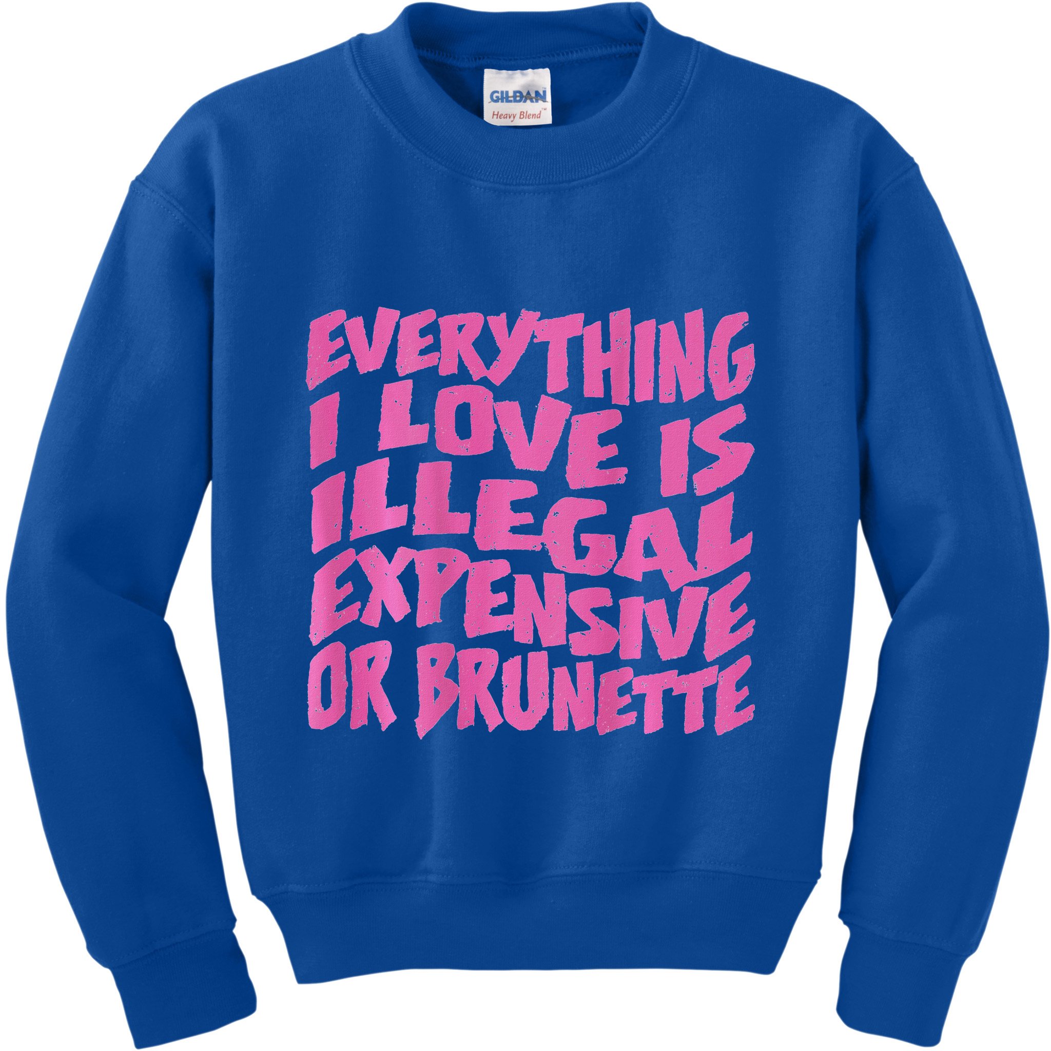 Everything I Love Is Illegal Expensive Or Brunette Kids Sweatshirt