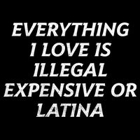 Everything I Love Is Illegal Expensive Or Latina Long Sleeve Shirt