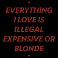 Everything I Love Is Illegal Expensive Or Blonde Wool Snapback Cap