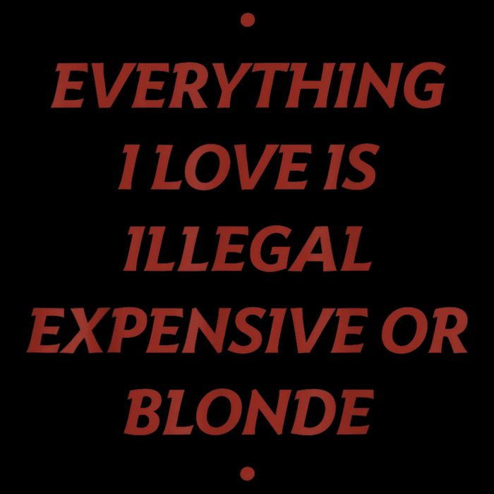 Everything I Love Is Illegal Expensive Or Blonde Wool Snapback Cap