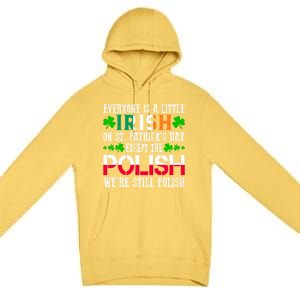 Everyone Is Little Irish On St Patrick's Day Except Polish Gift Premium Pullover Hoodie