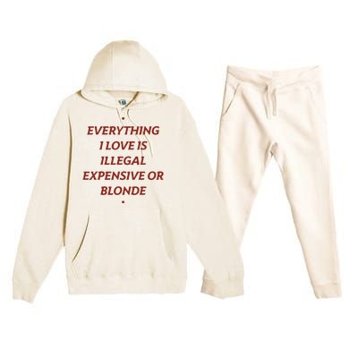 Everything I Love Is Illegal Expensive Or Blonde Premium Hooded Sweatsuit Set