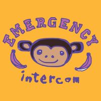 Emergency Intercom Monkey Pom Pom 12in Knit Beanie