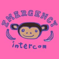 Emergency Intercom Monkey Stripe Pom Pom Beanie