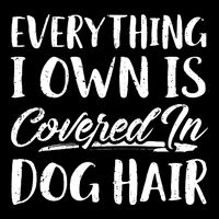 Everything I Own Is Covered In Dog Hair Pet Lovers Youth Performance Sprint T-Shirt