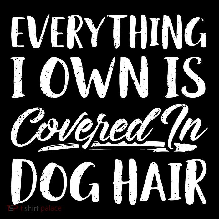 Everything I Own Is Covered In Dog Hair Pet Lovers Womens T-Shirt