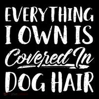 Everything I Own Is Covered In Dog Hair Pet Lovers Women's V-Neck T-Shirt