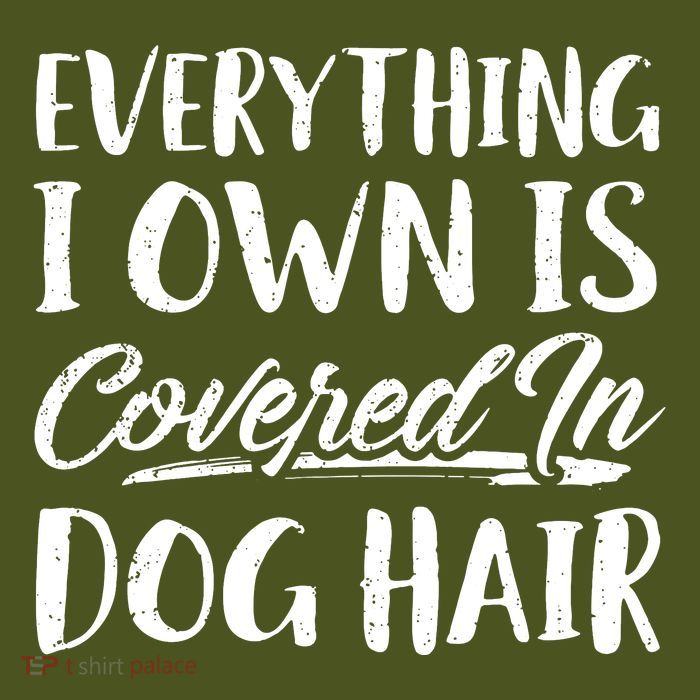 Everything I Own Is Covered In Dog Hair Pet Lovers T-Shirt