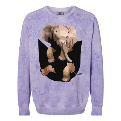 Elephant In Pocket Gifts Funny Elephant Lover Colorblast Crewneck Sweatshirt