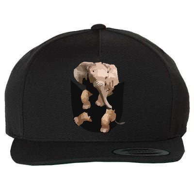 Elephant In Pocket Gifts Funny Elephant Lover Wool Snapback Cap