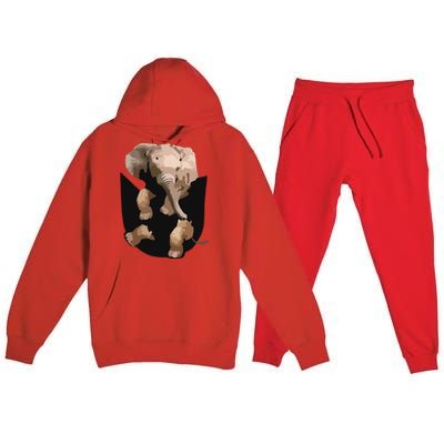 Elephant In Pocket Gifts Funny Elephant Lover Premium Hooded Sweatsuit Set