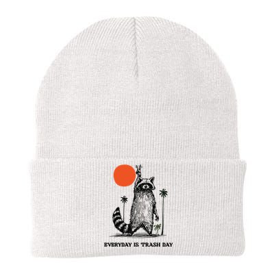 Everyday Is Trash Day Raccoon Knit Cap Winter Beanie