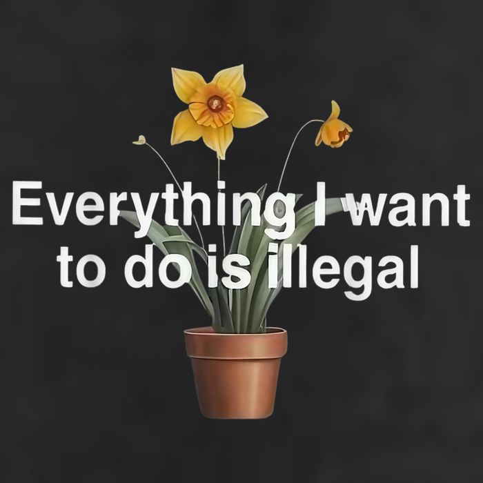 Everything I Want To Do Is Illegal Flower Garment-Dyed Fleece Hoodie