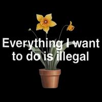 Everything I Want To Do Is Illegal Flower Baby Bodysuit