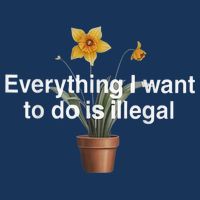 Everything I Want To Do Is Illegal Flower Infant Baby Jersey Bodysuit