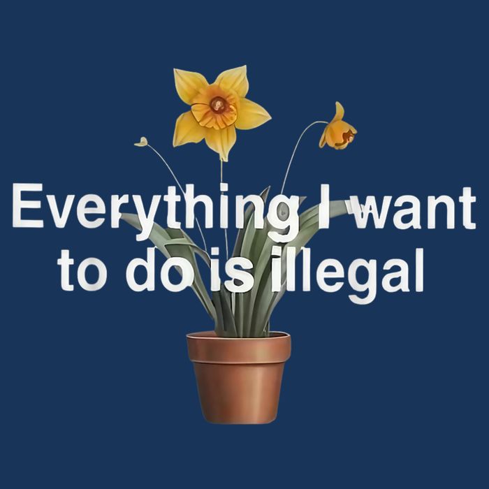 Everything I Want To Do Is Illegal Flower Infant Baby Jersey Bodysuit