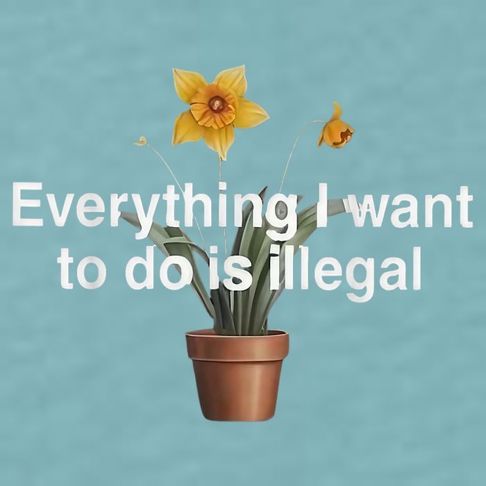 Everything I Want To Do Is Illegal Flower Sueded Cloud Jersey T-Shirt