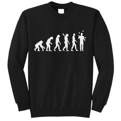 Evolution Juggling Sweatshirt