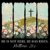 Easter Jesus He Is Not Here He Has Risen Wildflower Spring 16 in Basic Backpack