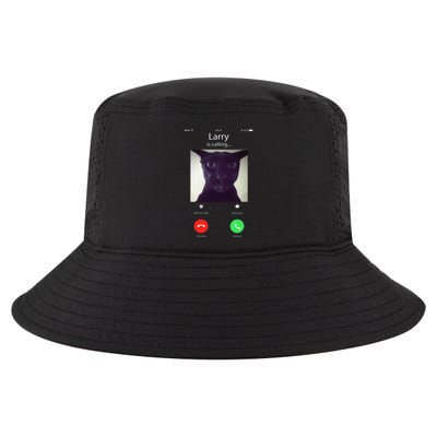 Evil Larry Cat Funny Cat Meme Lover .Png Cool Comfort Performance Bucket Hat