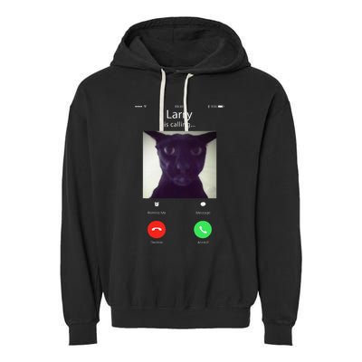 Evil Larry Cat Funny Cat Meme Lover .Png Garment-Dyed Fleece Hoodie