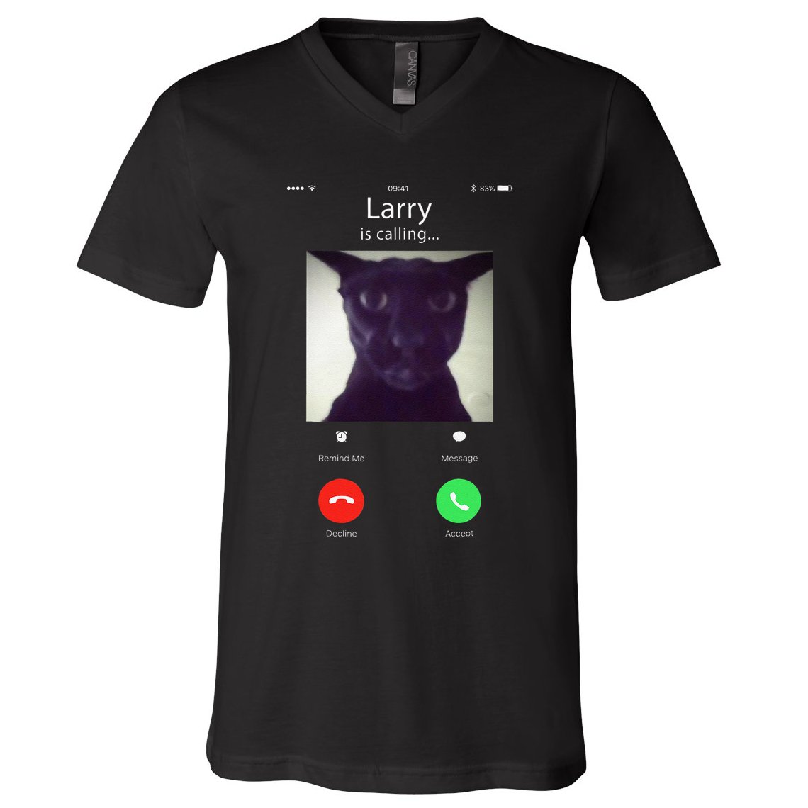 Evil Larry Cat Funny Cat Meme Lover .Png V-Neck T-Shirt