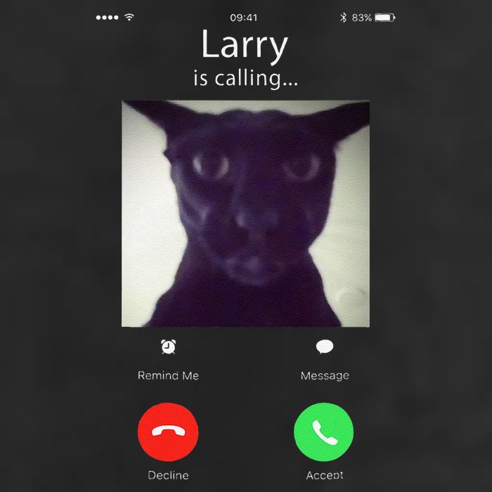 Evil Larry Cat Funny Cat Meme Lover .Png 15oz Campfire Ceramic Mug