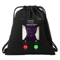 Evil Larry Cat Funny Cat Meme Lover .Png Drawstring Bag