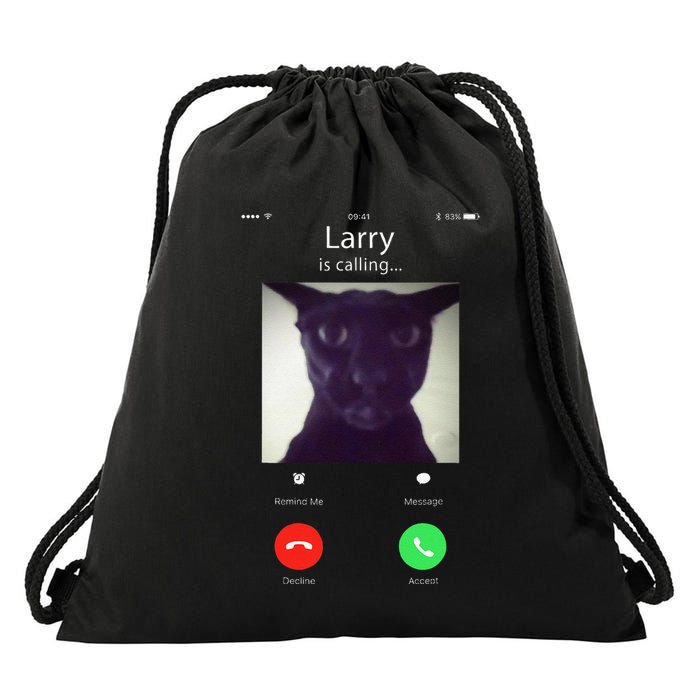 Evil Larry Cat Funny Cat Meme Lover .Png Drawstring Bag