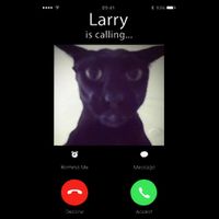 Evil Larry Cat Funny Cat Meme Lover .Png Drawstring Bag