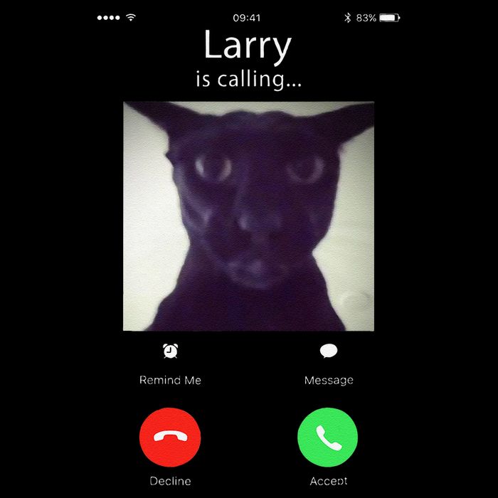 Evil Larry Cat Funny Cat Meme Lover .Png Drawstring Bag