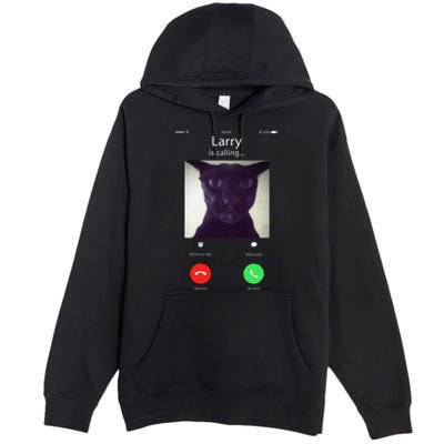Evil Larry Cat Funny Cat Meme Lover .Png Premium Pullover Hoodie