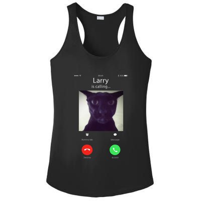 Evil Larry Cat Funny Cat Meme Lover .Png Ladies PosiCharge Competitor Racerback Tank
