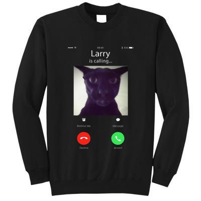 Evil Larry Cat Funny Cat Meme Lover .Png Tall Sweatshirt
