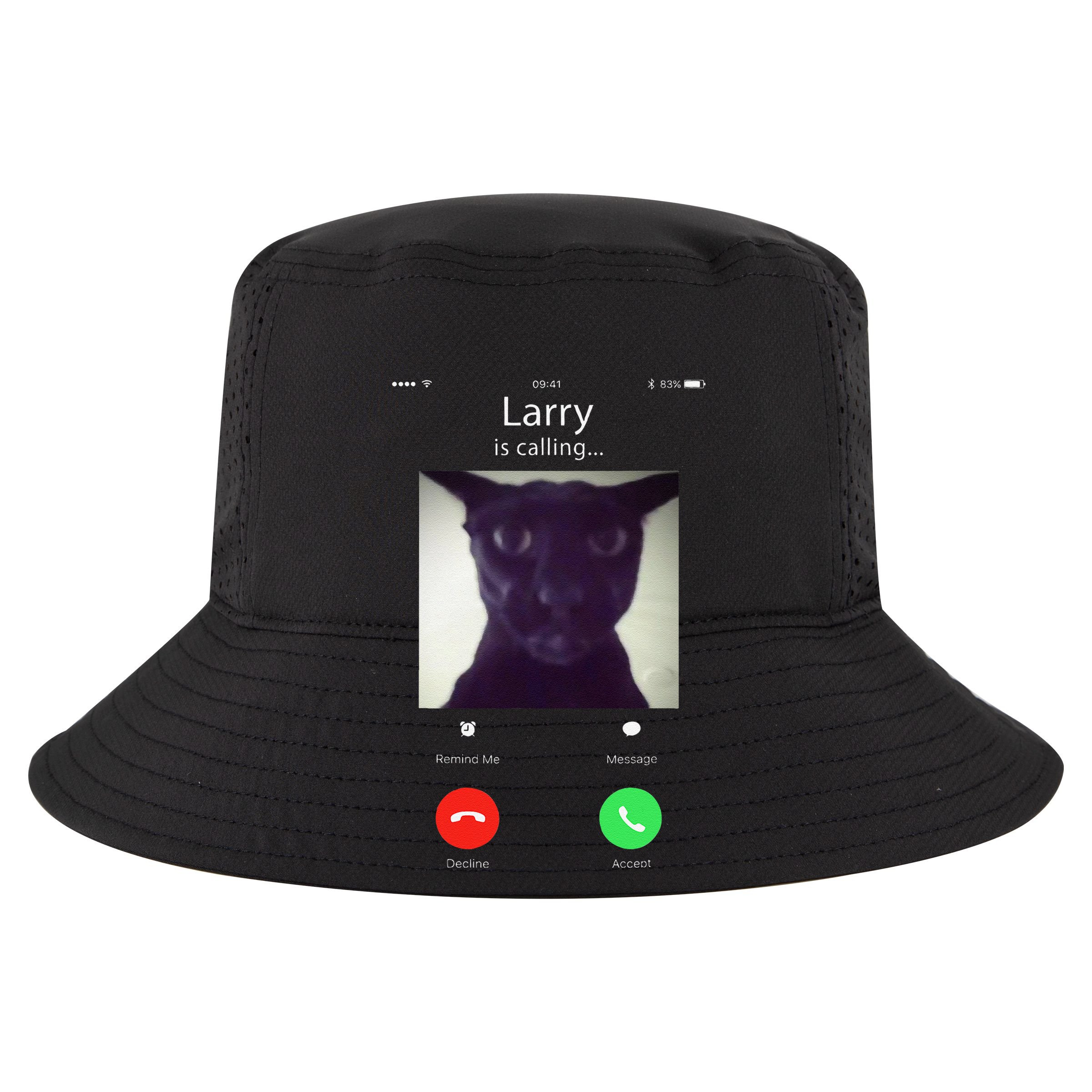 Evil Larry Cat Funny Cat Meme Lover .Png Women's Crop Top Tee